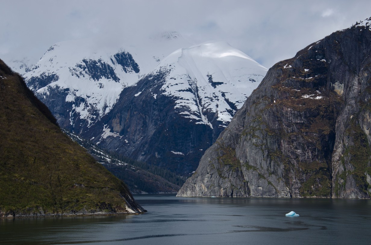 Entering Tracy Arm Fjord